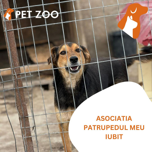 Doneaza o portie de hrana pentru Asociatia Patrupedul Meu Iubit