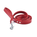 Enjoy Lesa Piele Eco 20 mm