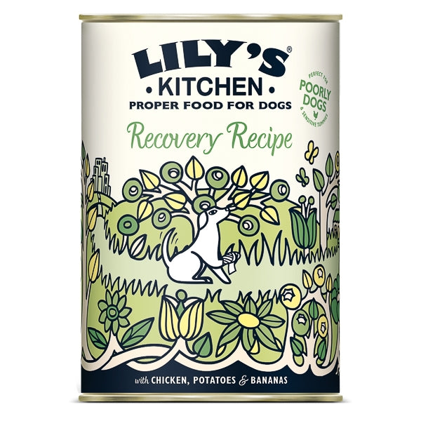 Lily's Kitchen for Dogs Recovery Recipe with Chicken, Potatoes and Bananas 400 g